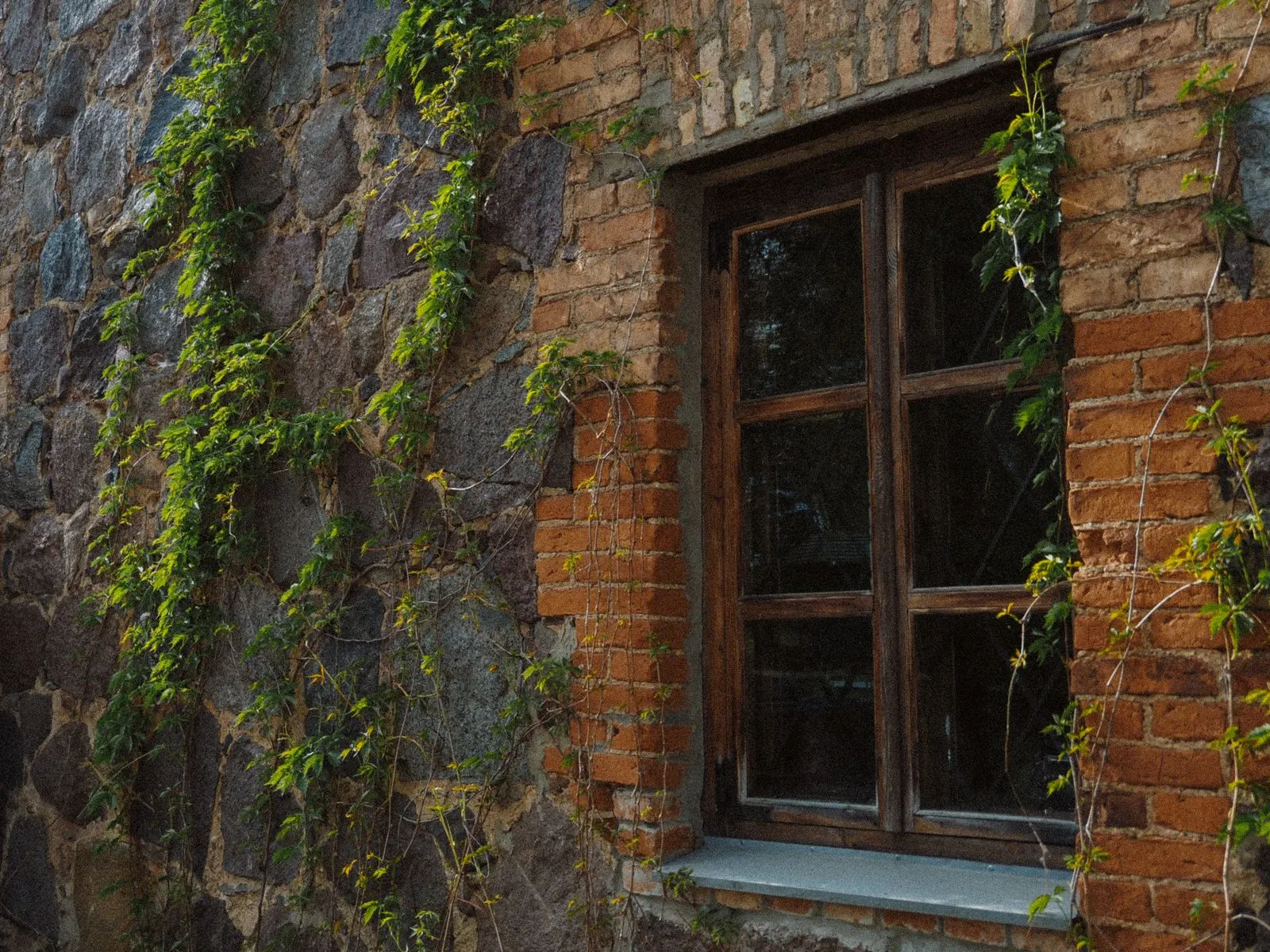 What to Expect During Egress Window Installation